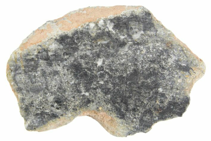 Polished Lunar Meteorite ( g) Section - NWA #360241